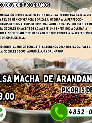 Salsa Macha de Arandanos - frasco vidrio 100g